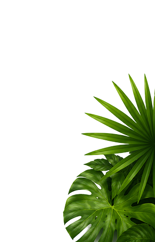 Tropical Leaves Accent